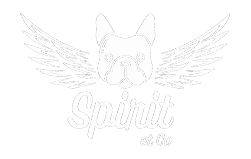 Spirit et co